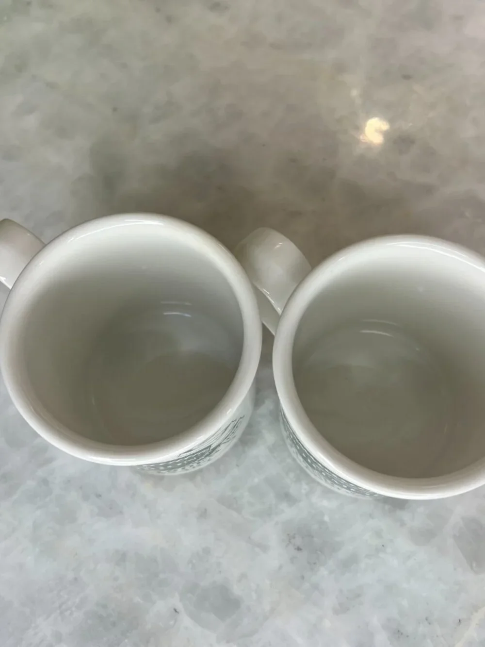 Set of 2 Portmeirion Botanic Garden‎ Beaker English Mugs - Rhododendron & Daisy